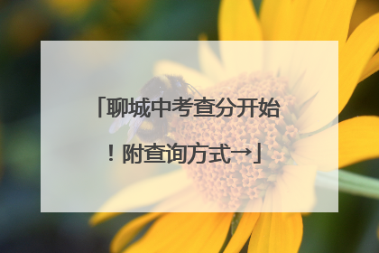 聊城中考查分开始！附查询方式→