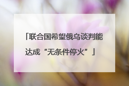 联合国希望俄乌谈判能达成“无条件停火”