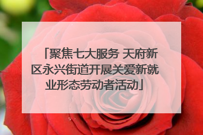 聚焦七大服务 天府新区永兴街道开展关爱新就业形态劳动者活动