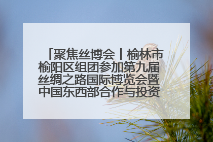 聚焦丝博会丨榆林市榆阳区组团参加第九届丝绸之路国际博览会暨中国东西部合作与投资贸易洽谈会