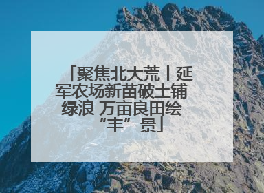 聚焦北大荒丨延军农场新苗破土铺绿浪 万亩良田绘“丰”景