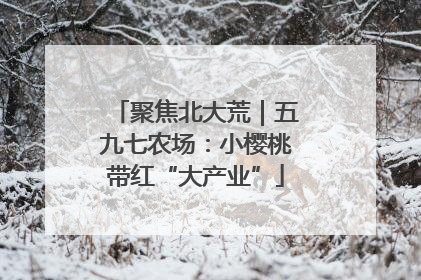 聚焦北大荒｜五九七农场：小樱桃带红“大产业”
