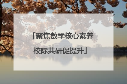 聚焦数学核心素养 校际共研促提升