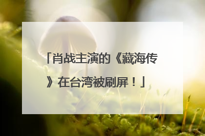 肖战主演的《藏海传》在台湾被刷屏！