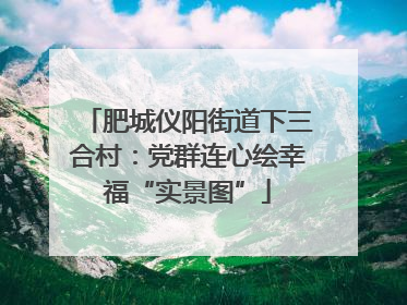 肥城仪阳街道下三合村：党群连心绘幸福“实景图”
