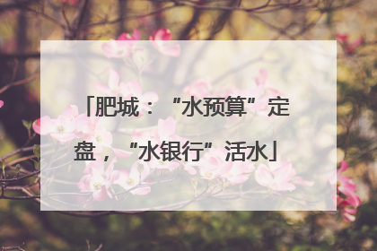 肥城：“水预算”定盘，“水银行”活水