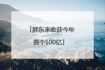 胖东来收获今年首个100亿