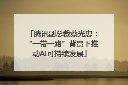 腾讯副总裁蔡光忠：“一带一路”背景下推动AI可持续发展