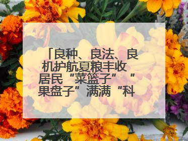 良种、良法、良机护航夏粮丰收 居民“菜篮子”“果盘子”满满“科技范儿”
