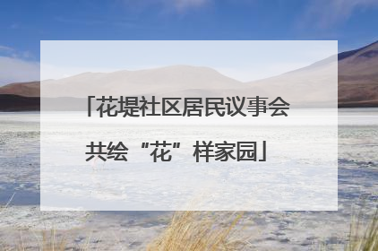 花堤社区居民议事会共绘“花”样家园