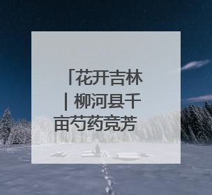 花开吉林｜柳河县千亩芍药竞芳菲
