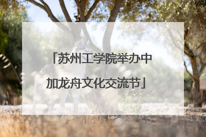 苏州工学院举办中加龙舟文化交流节