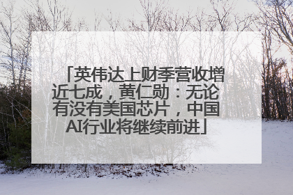 英伟达上财季营收增近七成，黄仁勋：无论有没有美国芯片，中国AI行业将继续前进