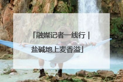 融媒记者一线行｜盐碱地上麦香溢