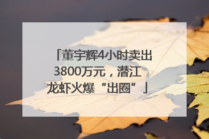 董宇辉4小时卖出3800万元，潜江龙虾火爆“出圈”