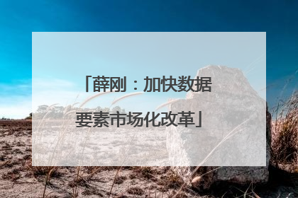 薛刚：加快数据要素市场化改革