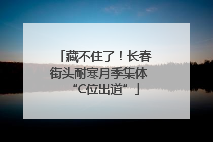藏不住了！长春街头耐寒月季集体“C位出道”