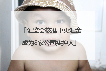 证监会核准中央汇金成为8家公司实控人