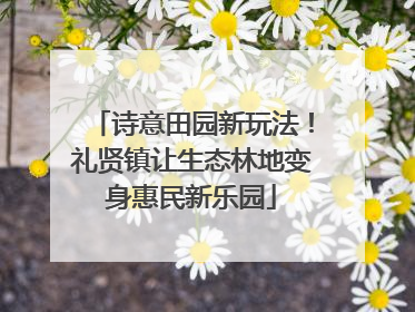 诗意田园新玩法！礼贤镇让生态林地变身惠民新乐园