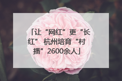 让“网红”更“长红” 杭州培育“村播”2600余人