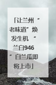 让兰州“老味道”焕发生机 “兰白946”白兰瓜即将上市