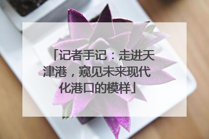 记者手记：走进天津港，窥见未来现代化港口的模样