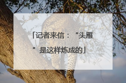 记者来信：“头雁”是这样炼成的