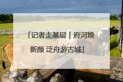 记者走基层｜府河焕新颜 泛舟游古城