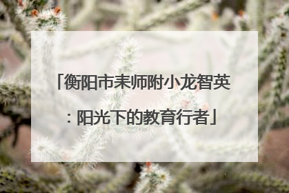 衡阳市耒师附小龙智英：阳光下的教育行者