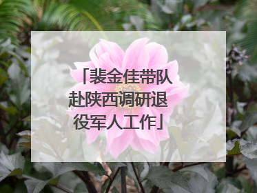 裴金佳带队赴陕西调研退役军人工作