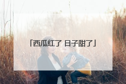 西瓜红了 日子甜了
