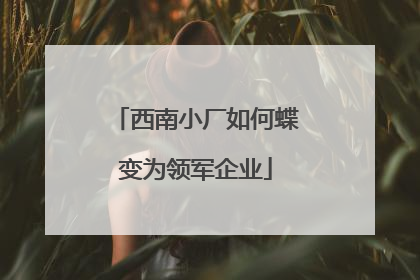 西南小厂如何蝶变为领军企业