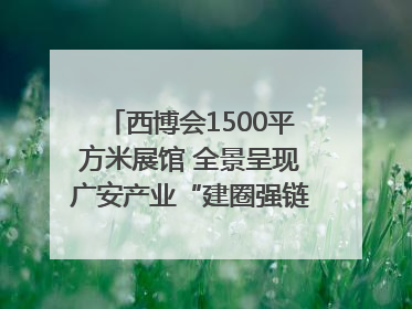 西博会1500平方米展馆 全景呈现广安产业“建圈强链”｜西博视界
