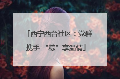 西宁西台社区：党群携手 “粽”享温情