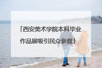 西安美术学院本科毕业作品展吸引民众参观