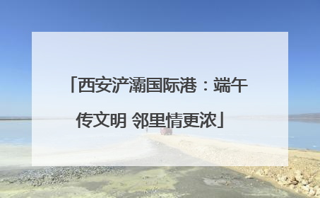 西安浐灞国际港：端午传文明 邻里情更浓