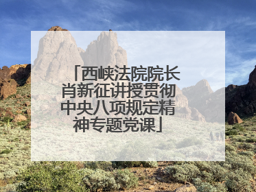 西峡法院院长肖新征讲授贯彻中央八项规定精神专题党课