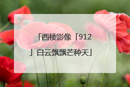 西楼影像「912」白云飘飘芒种天
