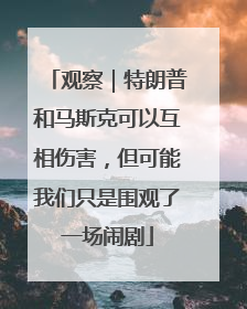 观察｜特朗普和马斯克可以互相伤害，但可能我们只是围观了一场闹剧