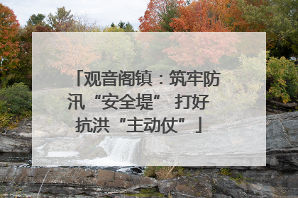 观音阁镇：筑牢防汛“安全堤” 打好抗洪“主动仗”