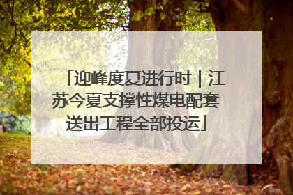 迎峰度夏进行时｜江苏今夏支撑性煤电配套送出工程全部投运