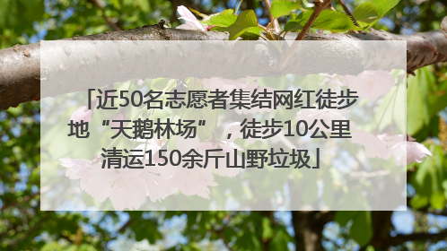 近50名志愿者集结网红徒步地“天鹅林场”，徒步10公里清运150余斤山野垃圾