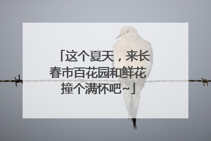 这个夏天，来长春市百花园和鲜花撞个满怀吧~