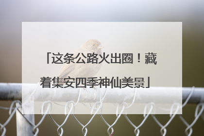 这条公路火出圈！藏着集安四季神仙美景