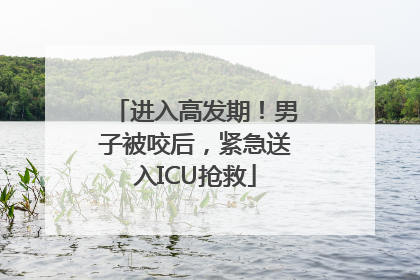 进入高发期！男子被咬后，紧急送入ICU抢救
