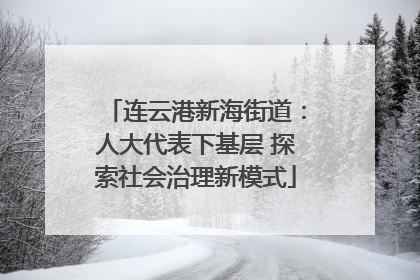 连云港新海街道：人大代表下基层 探索社会治理新模式