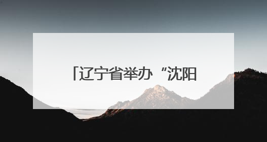 辽宁省举办“沈阳现代化都市圈”高校毕业生专场招聘会
