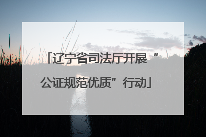 辽宁省司法厅开展“公证规范优质”行动
