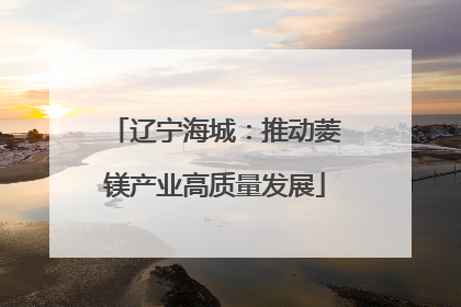 辽宁海城：推动菱镁产业高质量发展