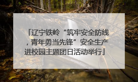 辽宁铁岭“筑牢安全防线，青年勇当先锋”安全生产进校园主题团日活动举行